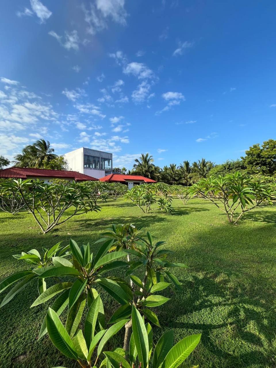Nn Beach Resort & Spa Nilaveli Exterior foto